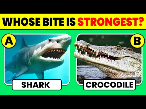 🧠 How Good Is Your Knowledge of ANIMALS? 🦁✅ 50 Animals Knowledge Trivia Quiz