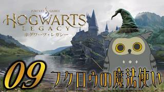 「Hogwarts Legacy/ホグワーツ・レガシー」　#09　人助けフクロウ