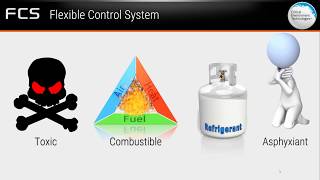 FCS Flexible Control System Controller for Gas Detection Systems