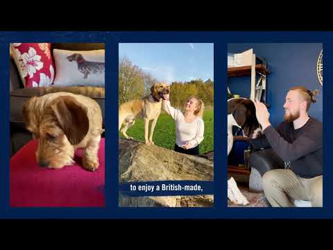 Butcher's British-Made Nourishing Food for Dogs