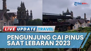 Ada Perbedaan Jumlah Pengunjung Wisata Kuningan, Manajemen Pondok Cai Pinus Ungkap Begini