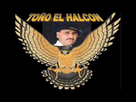 TOÑO EL HALCON-Mi Ranchito