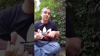 Furia de Color. Rosana