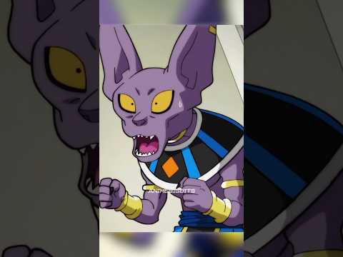 Beerus Still Having Majin Buu Flashbacks