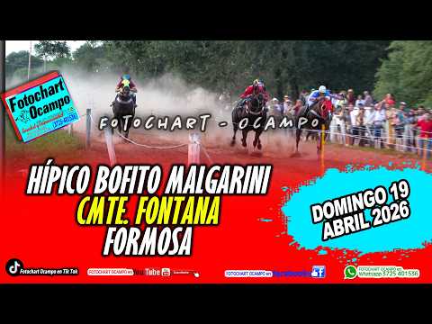 HÍPICO BOFITO MALGARINI- CMTE, FONTANA - FORMOSA- Resumen de la Reunión del 19/04/2026