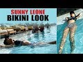Sunny Leone In Bikini L Sunny Leone Pool Video L Sunny Leone New Video L Actress In Bikini