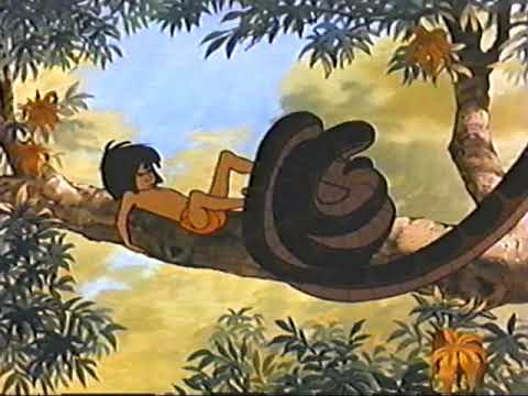 The Jungle Book (1967) - Mowgli Runs Away From Kaa