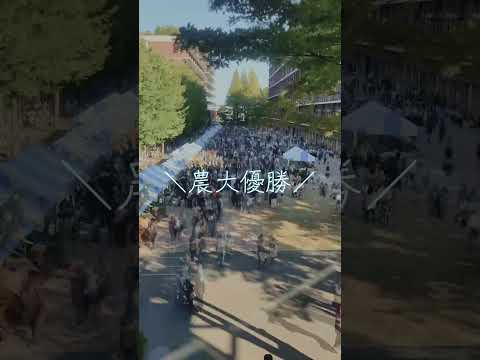 【え！？あの人も農大に！？】東京農業大学 収穫祭 2024タイムラプス #東京農業大学 #東京農大 #収穫祭 #経堂 #千歳船橋 #農大優勝