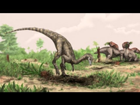 World's Oldest Known Dinosaur Identified