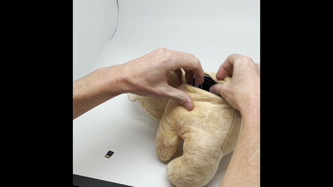 SG Xtreme Life Teddy Bear Wi-fi Hidden Camera