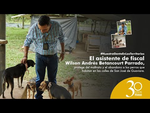 El asistente de fiscal que protege a los animales en las calles de San José del Guaviare