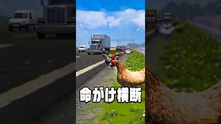 本物のチキンレース