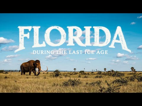 Ice Age Florida: A Land of Giants & Endless Plains
