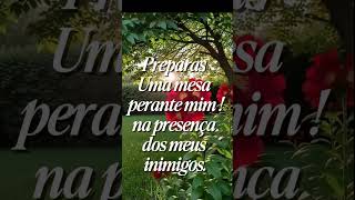 Deus obrigada por tudo