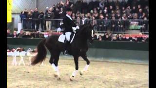Video of Fuechtels Floriscount OLD