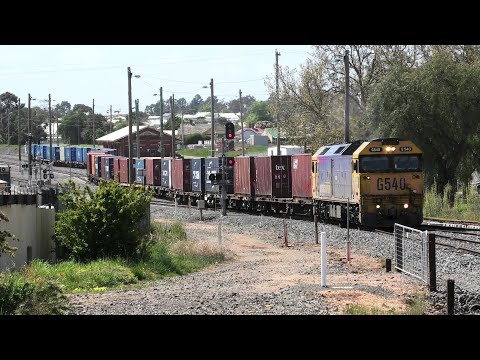 XR559-BL31-32 on 7901V crosses G540 on 7904V ex Donald at Maryborough.  01-10-02.   12.07 to 12.42.