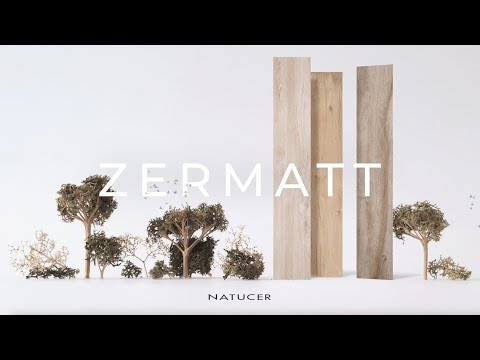 Imagen representativa video