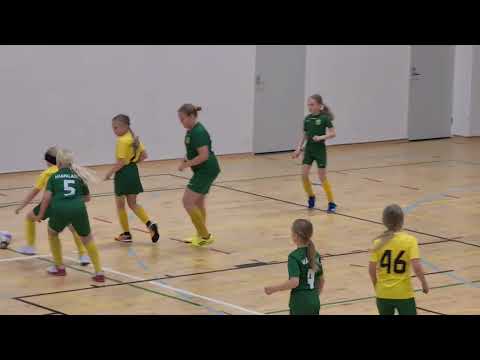 HauPa T1213 Vihreä - HauPa T1213 Kelt.