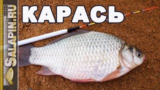 Ссылка