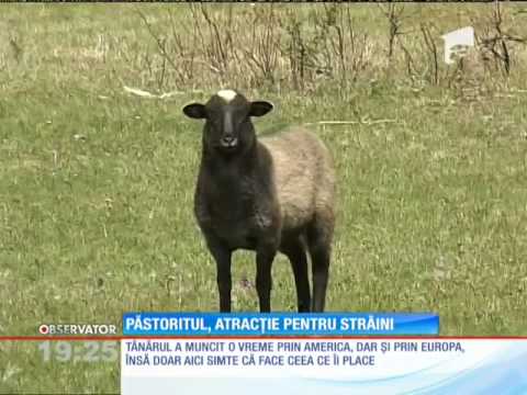 Păstoritul autentic, atracţie pentru turişti