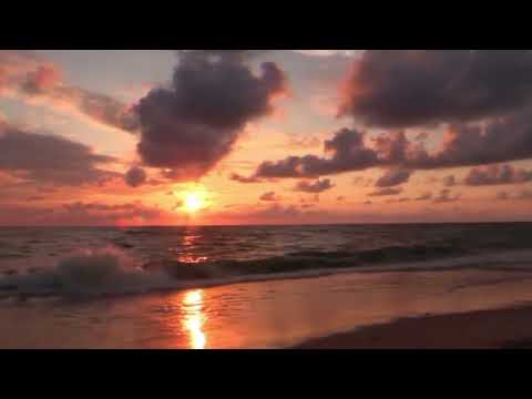 Sentimientos_ FLAKO SKINNY _ Deep Nao