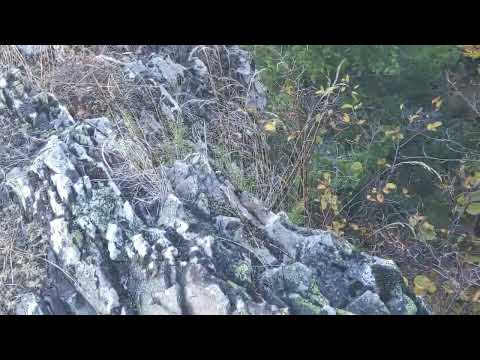 panorama de pe Detunata Goala