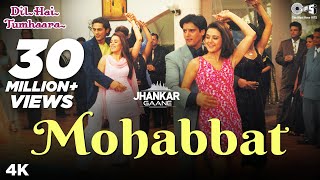 Mohabbat Dil Ka Sakoon (Jhankar) - Dil Hai Tumhaara