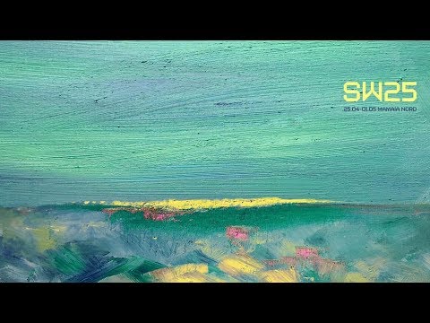 Marco Carola "The best moments" @ Sunwaves 25