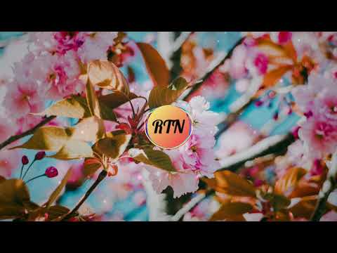 Colorful Flowers (Tokyo Music Walker) - Chill Lo fi Beat to Study / Relax - No Copyright Music
