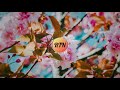 Colorful Flowers Tokyo Music Walker Chill Lo Fi Beat To Study Relax No Copyright Music