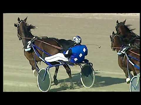 Napoli Trotto 20/02/2022 - 4ª corsa