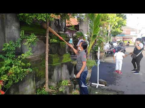 Kegiatan Jumat Bersih Kelurahan Padangsambian