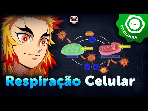 Respiração Celular