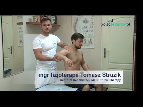 Cechy fizyczne mięśni Atlas anatomiczny kulturystyka