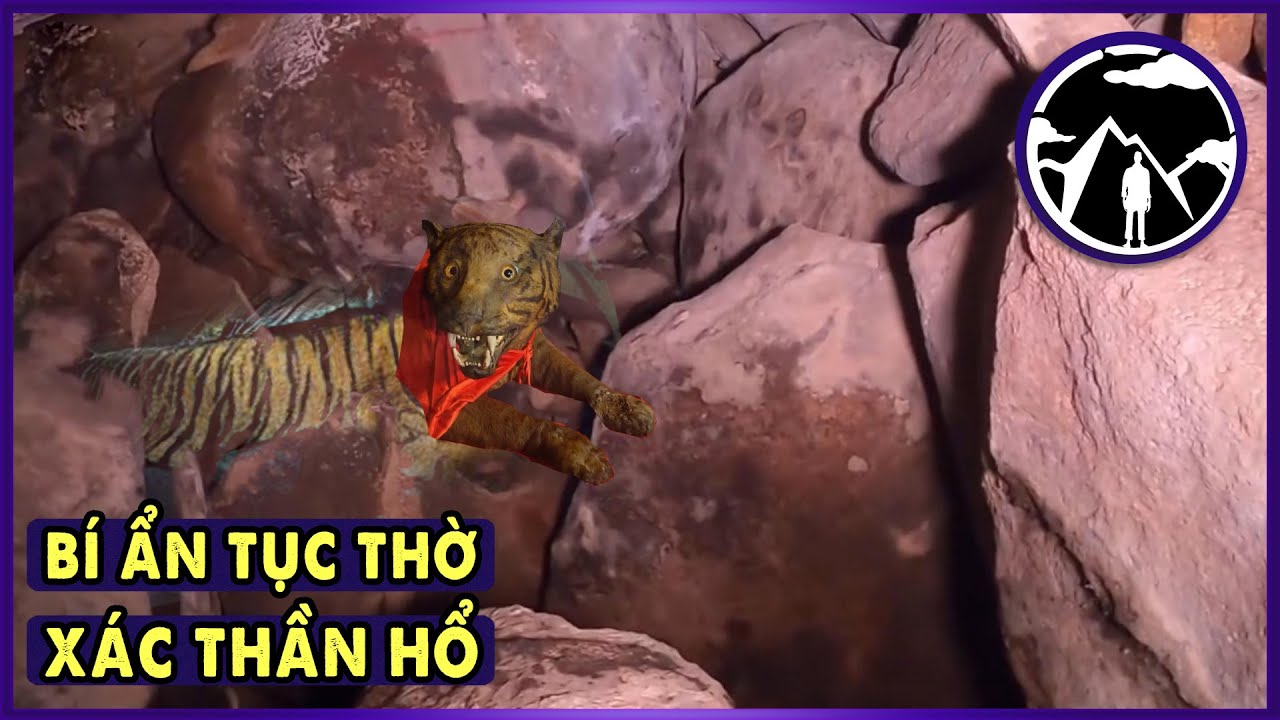 Thờ "Xác Chúa Tể Sơn Lâm" trong dân gian có Bị Bắt??? l Văn Hoá Tâm Linh