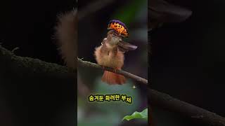 Download lagu Thought it was an ordinary sparrow... but then a crown popped out of its head (true story) mp3