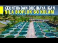 Keutungan Usaha Budidaya Ikan Nila Bioflok Panen Melimpah Ikan Segar Dan Sehat