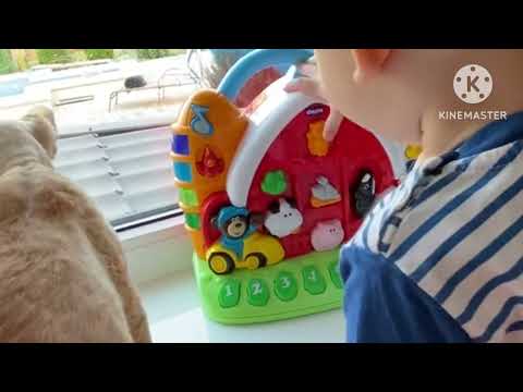 Baby Cats - Cute and Funny Cat Videos Compilation #1 | Jitray Salma