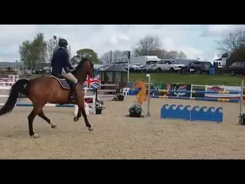 Yacuma BK.   Chepstow CSI** 2016