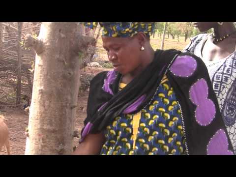 FarmQuest - Reality Radio in Mali: Meet Kafuné