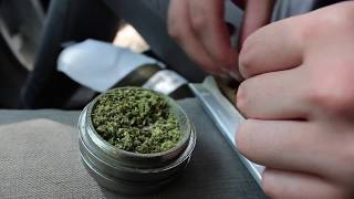 Stoned All Day - Friend & foe