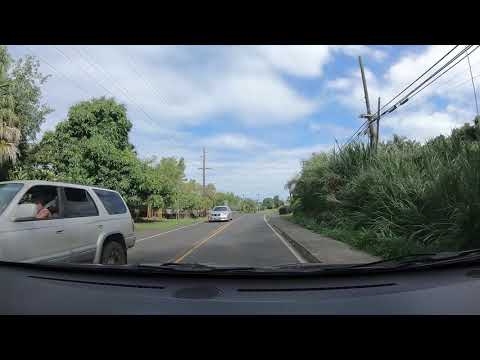 asot 251. a state of trance 251 by armin van buuren