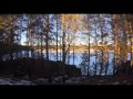 Вечерняя прогулка с собаками 29.03.15 