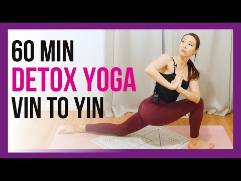 1 hour Vinyasa Flow & Yin Yoga - FULL BODY Intermediate Yoga
