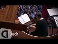 Bach: Brandenburg Concerto No.5, BWV 1050 - Concerto Köln and Cordula Breuer  - Live Concert HD
