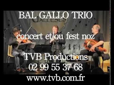 Bal Gallo Trio - musique de Bretagne à danser