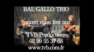 Bal Gallo Trio - musique de Bretagne à danser