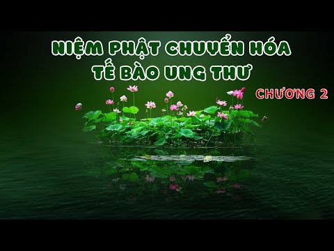 Niệm Phật Chuyển Hóa Tế Bào Ung Thư phần 2/8 - Chương 2 - PS Đạo Chứng