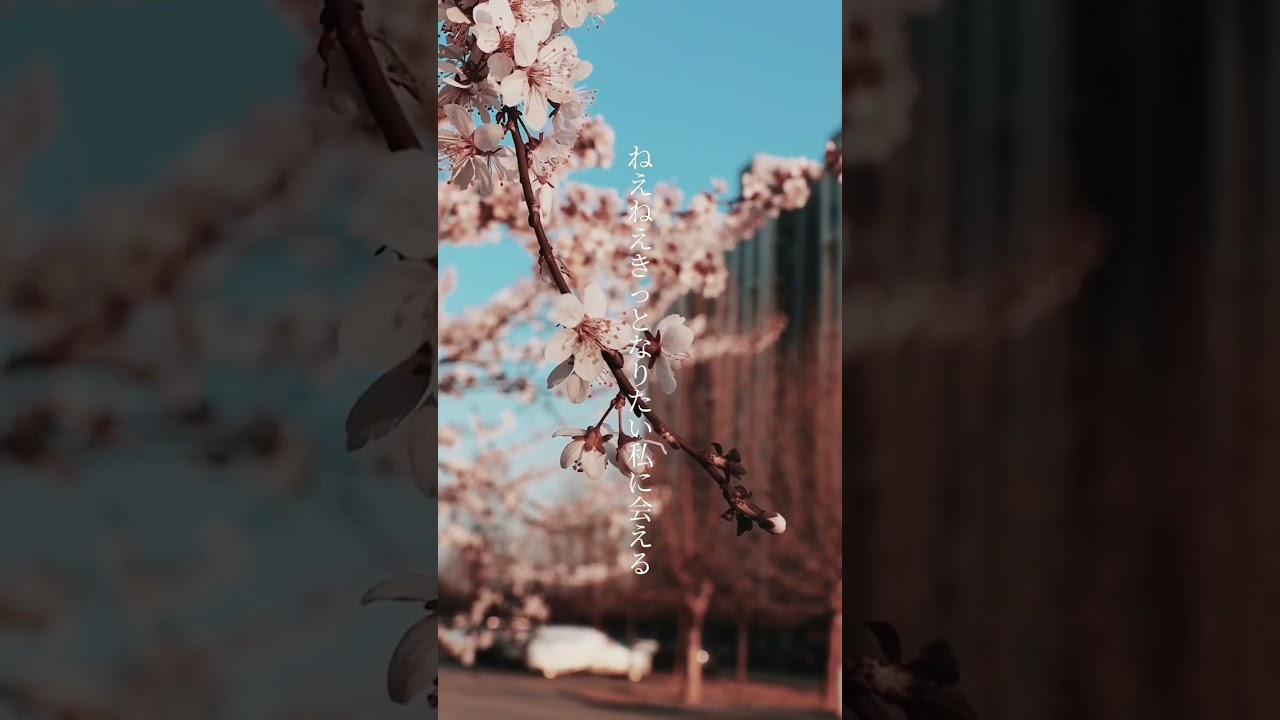 うらら／ひらめ