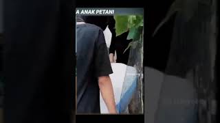 Download lagu anak petani yang rajin mp3